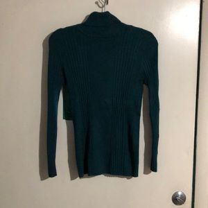 Teal turtle neck.